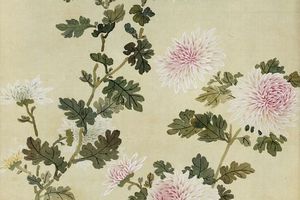 菊 